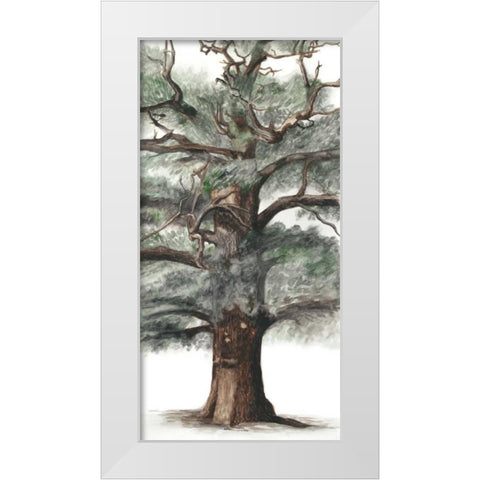 Oak Tree Composition I White Modern Wood Framed Art Print by McCavitt, Naomi