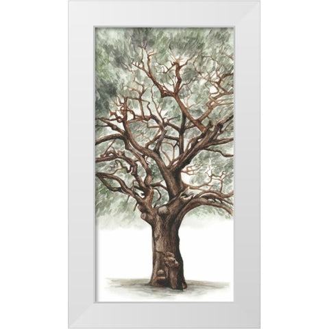 Oak Tree Composition II White Modern Wood Framed Art Print by McCavitt, Naomi