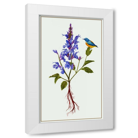 Salvia Miltiorrhiza I White Modern Wood Framed Art Print by Wang, Melissa