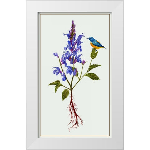 Salvia Miltiorrhiza I White Modern Wood Framed Art Print by Wang, Melissa