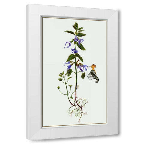 Salvia Miltiorrhiza II White Modern Wood Framed Art Print by Wang, Melissa