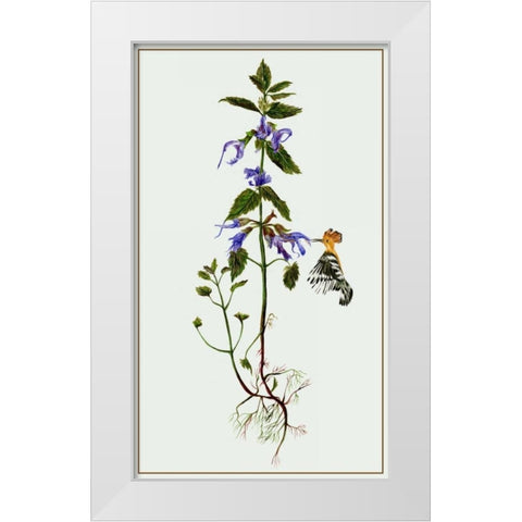 Salvia Miltiorrhiza II White Modern Wood Framed Art Print by Wang, Melissa