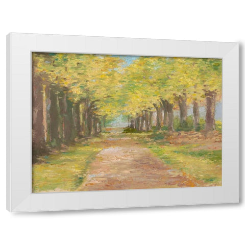 Fall Path III White Modern Wood Framed Art Print by Harper, Ethan