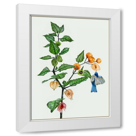 Cape Gooseberry II White Modern Wood Framed Art Print by Wang, Melissa