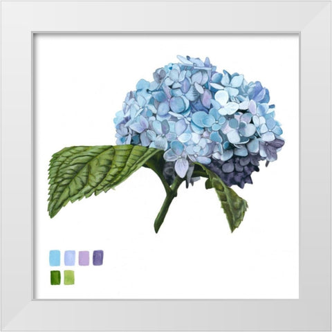 Brighton Blooms I White Modern Wood Framed Art Print by McCavitt, Naomi