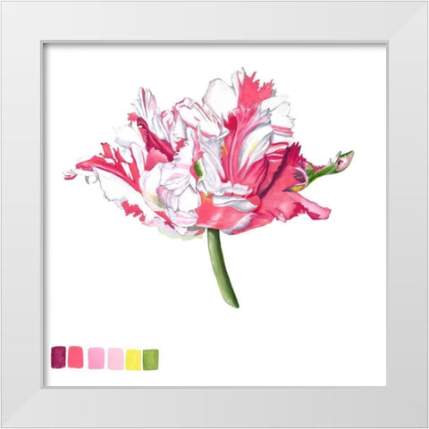 Brighton Blooms V White Modern Wood Framed Art Print by McCavitt, Naomi