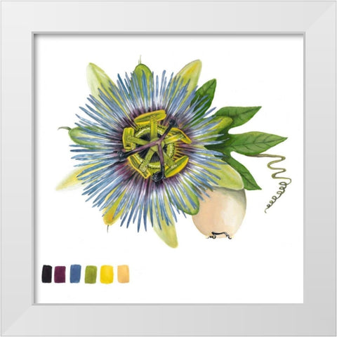 Brighton Blooms VI White Modern Wood Framed Art Print by McCavitt, Naomi