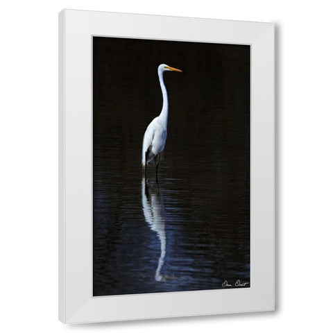Elegant Egret II White Modern Wood Framed Art Print by Drost, David