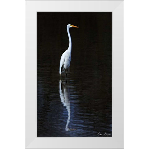 Elegant Egret II White Modern Wood Framed Art Print by Drost, David
