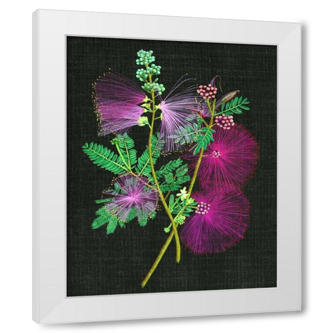 Calliandra Surinamensis I White Modern Wood Framed Art Print by Wang, Melissa