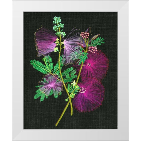 Calliandra Surinamensis I White Modern Wood Framed Art Print by Wang, Melissa