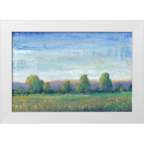 Glen Haven II White Modern Wood Framed Art Print by OToole, Tim