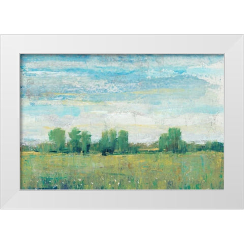 Splendor in Spring I White Modern Wood Framed Art Print by OToole, Tim