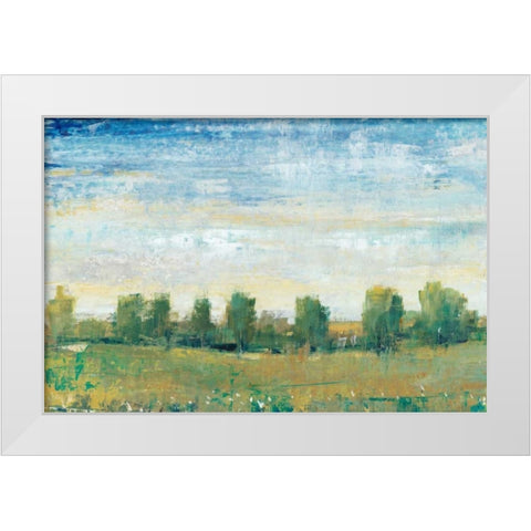 Splendor in Spring II White Modern Wood Framed Art Print by OToole, Tim