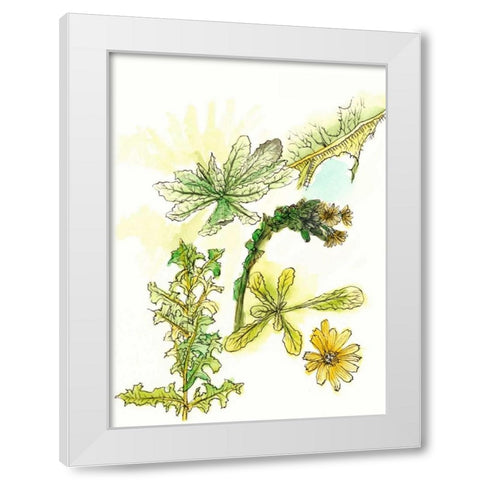 Floral Field Notes V White Modern Wood Framed Art Print by Wang, Melissa