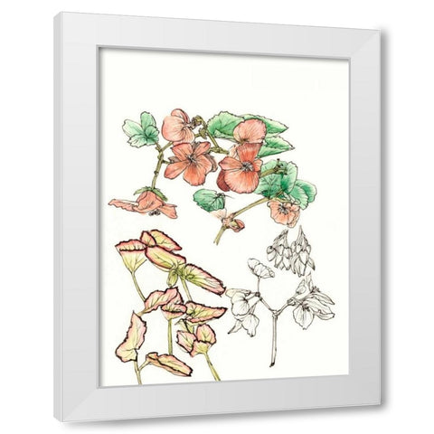 Begonia Study White Modern Wood Framed Art Print by Wang, Melissa