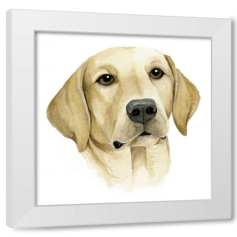 Humans Best Friend I White Modern Wood Framed Art Print by Popp, Grace