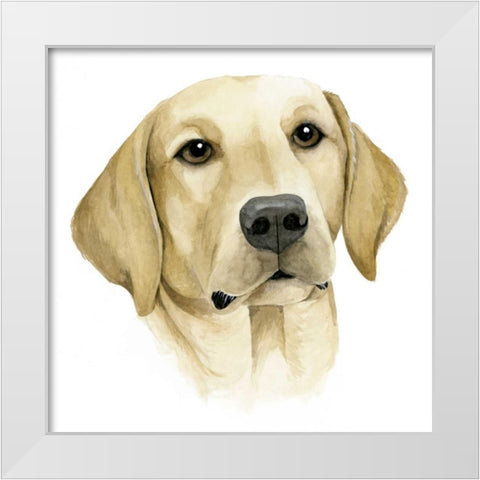 Humans Best Friend I White Modern Wood Framed Art Print by Popp, Grace