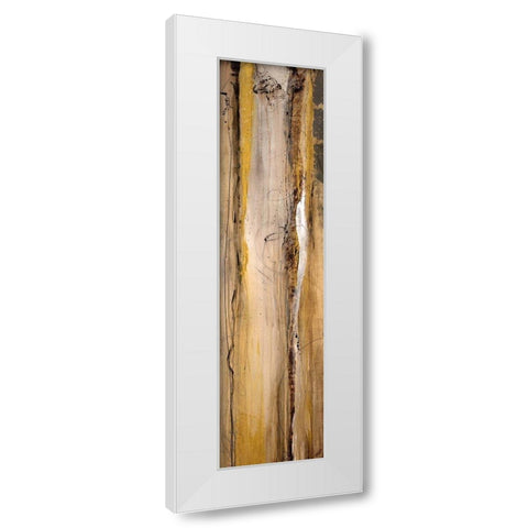 Analogous I White Modern Wood Framed Art Print by Taylor, Kari