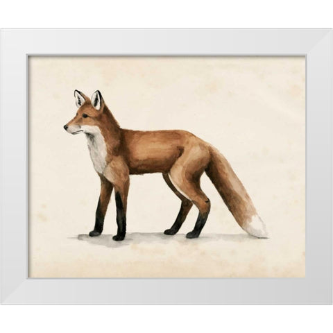 Wandering I White Modern Wood Framed Art Print by Popp, Grace