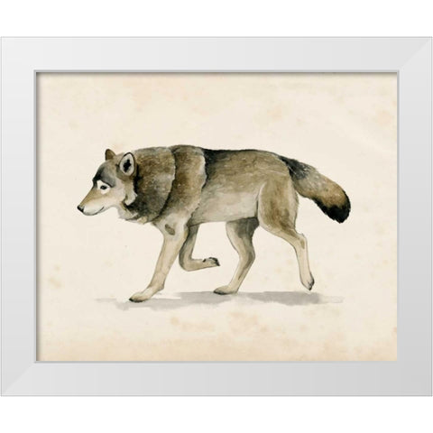 Wandering III White Modern Wood Framed Art Print by Popp, Grace