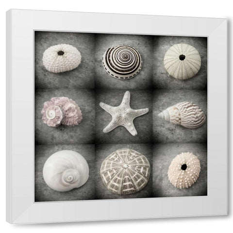 Dark Beauties White Modern Wood Framed Art Print by Stalus, Judy