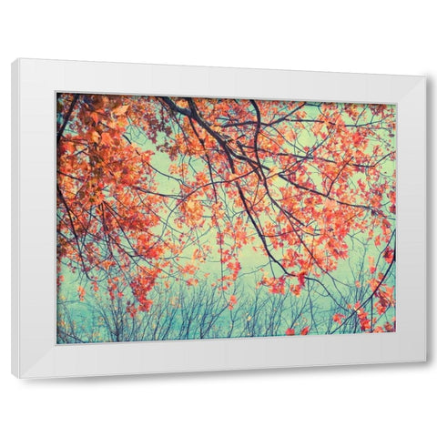 Autumn Tapestry II White Modern Wood Framed Art Print by Stalus, Judy