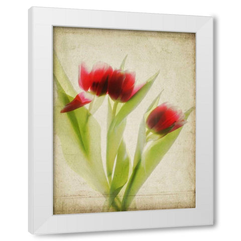 Parchment Flowers I White Modern Wood Framed Art Print by Stalus, Judy