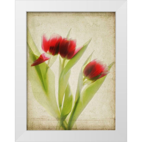 Parchment Flowers I White Modern Wood Framed Art Print by Stalus, Judy