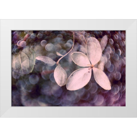 Purple Hydrangea White Modern Wood Framed Art Print by Stalus, Judy