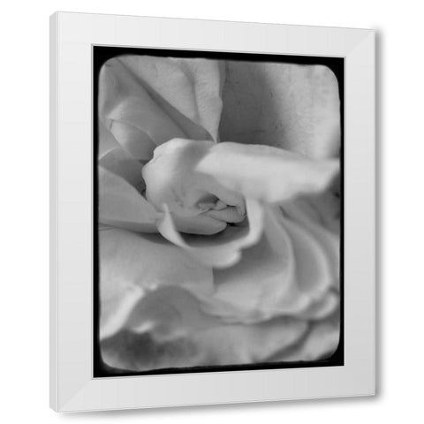 Rose Spiral II White Modern Wood Framed Art Print by Stalus, Judy