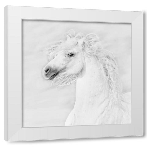 BandW Horses III White Modern Wood Framed Art Print by PHBurchett