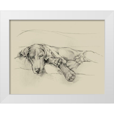 Dog Days II White Modern Wood Framed Art Print by Harper, Ethan