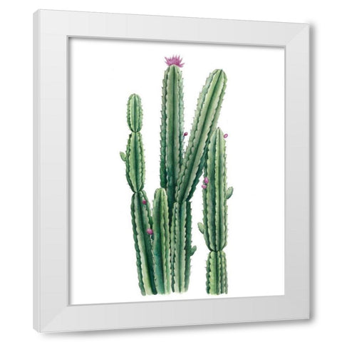 Desert Blooms II White Modern Wood Framed Art Print by Popp, Grace