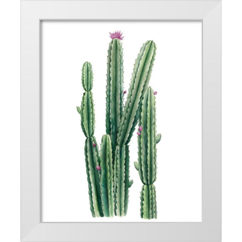 Desert Blooms II White Modern Wood Framed Art Print by Popp, Grace