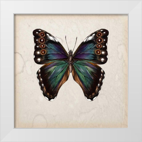 Butterfly Study III White Modern Wood Framed Art Print by Wang, Melissa