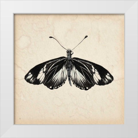 Butterfly Study VI White Modern Wood Framed Art Print by Wang, Melissa