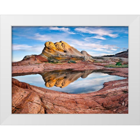 Arizona Reflection II White Modern Wood Framed Art Print by Drost, David