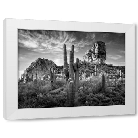 BandW Desert View I White Modern Wood Framed Art Print by Drost, David