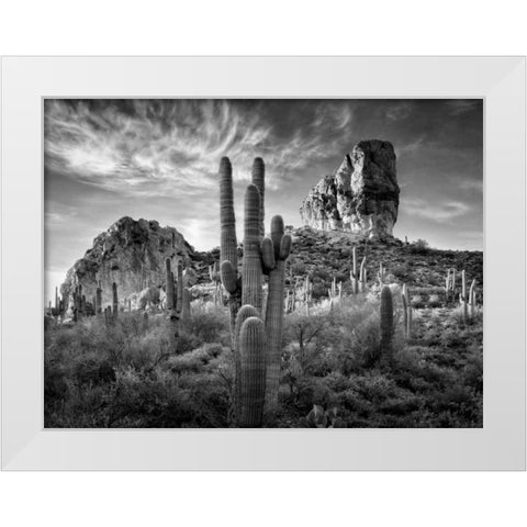 BandW Desert View I White Modern Wood Framed Art Print by Drost, David