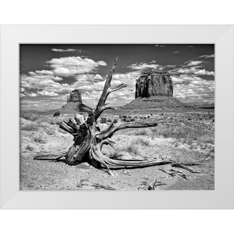 BandW Desert View V White Modern Wood Framed Art Print by Drost, David