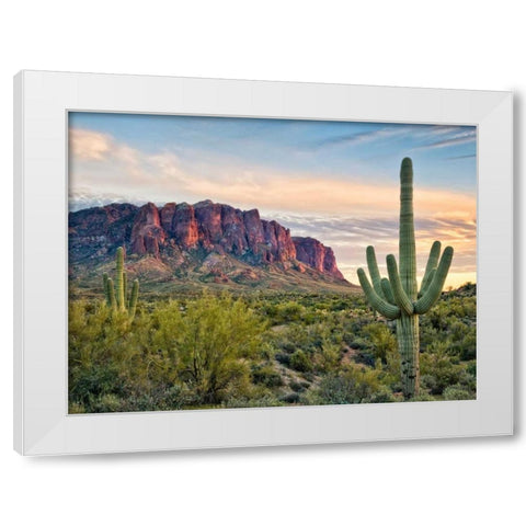 Cacti View II White Modern Wood Framed Art Print by Drost, David
