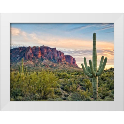 Cacti View II White Modern Wood Framed Art Print by Drost, David