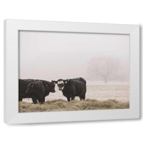 Farm Study I White Modern Wood Framed Art Print by Mead, Adam