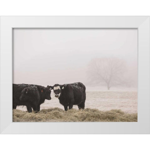 Farm Study I White Modern Wood Framed Art Print by Mead, Adam