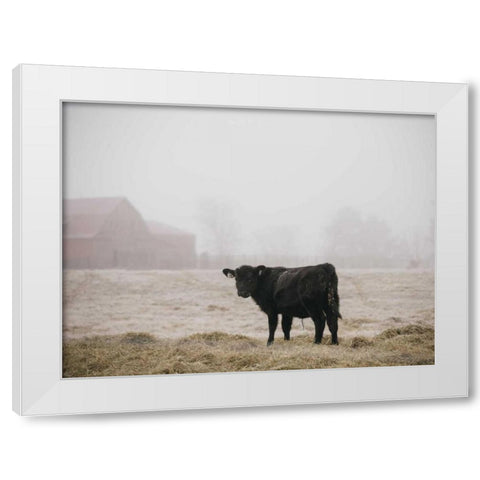 Farm Study II White Modern Wood Framed Art Print by Mead, Adam
