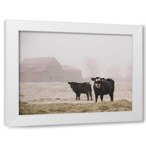 Farm Study III White Modern Wood Framed Art Print by Mead, Adam