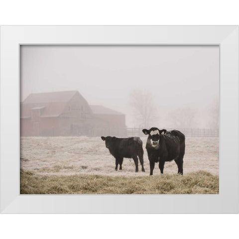 Farm Study III White Modern Wood Framed Art Print by Mead, Adam