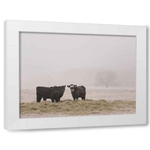 Farm Study V White Modern Wood Framed Art Print by Mead, Adam