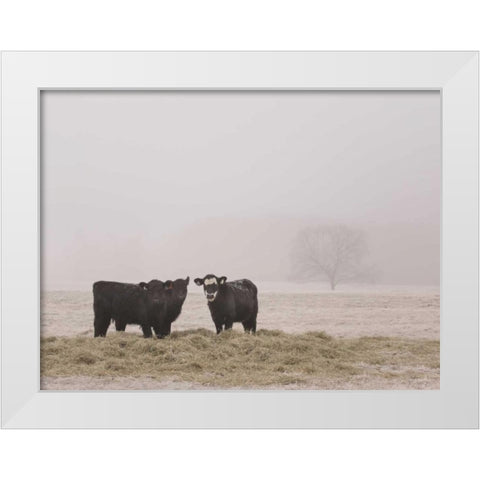 Farm Study V White Modern Wood Framed Art Print by Mead, Adam